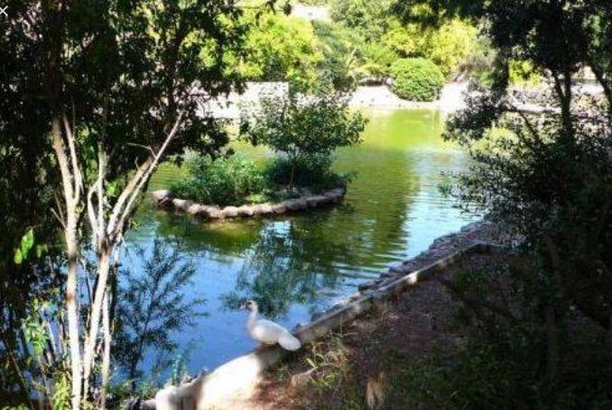 Bellini Bed & Breakfast Cagliari Eksteriør bilde